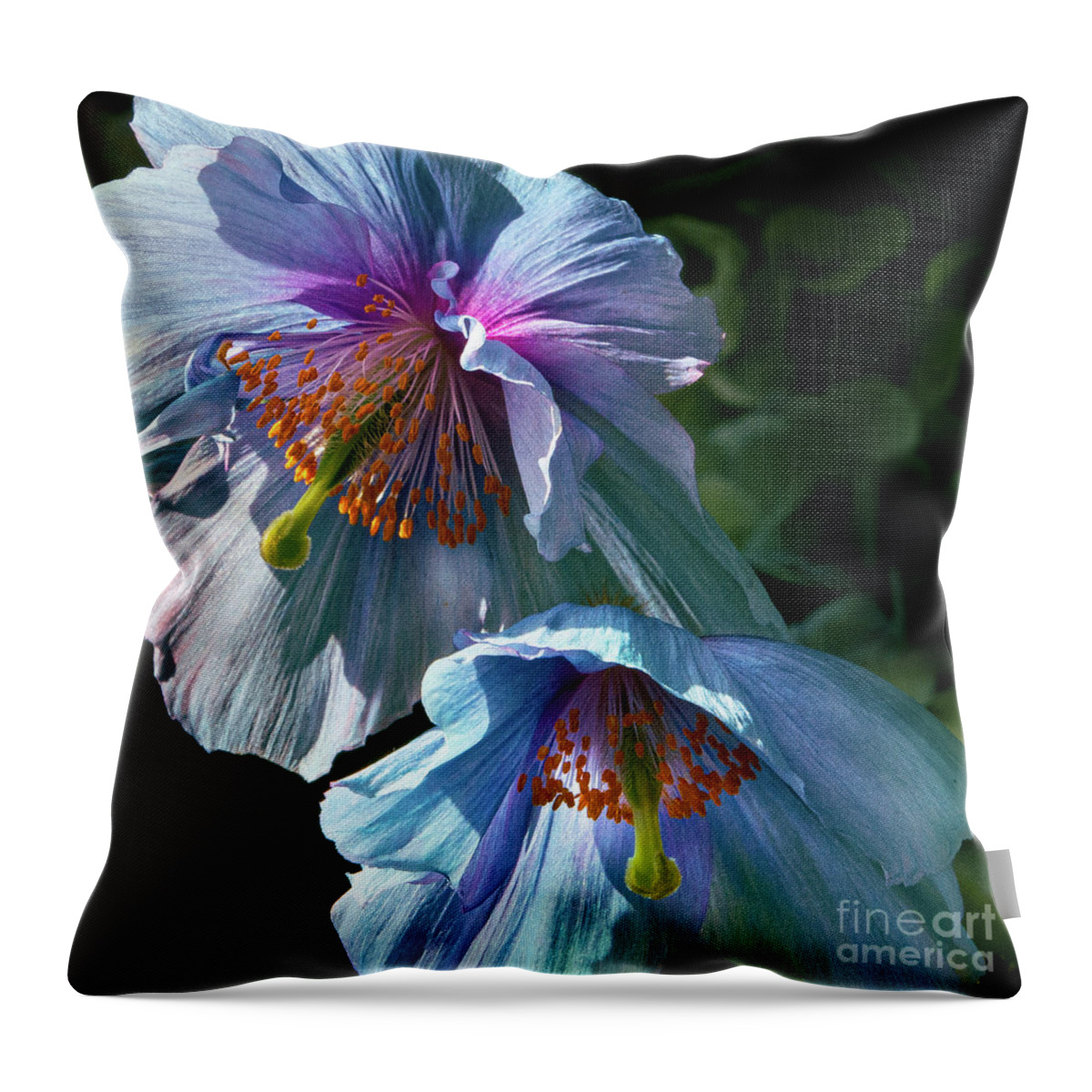 Conservatories Throw Pillow featuring the photograph Silk Poppies by Marilyn Cornwell