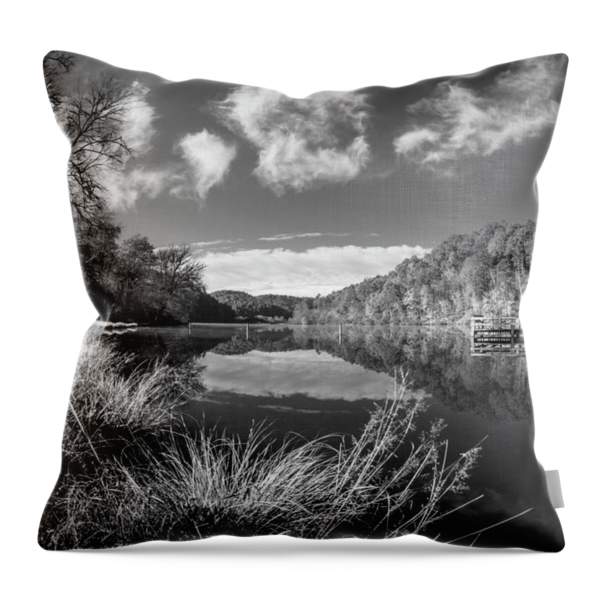 Carolina Throw Pillow featuring the photograph Silver Grasses at the Docks Black and White by Debra and Dave Vanderlaan
