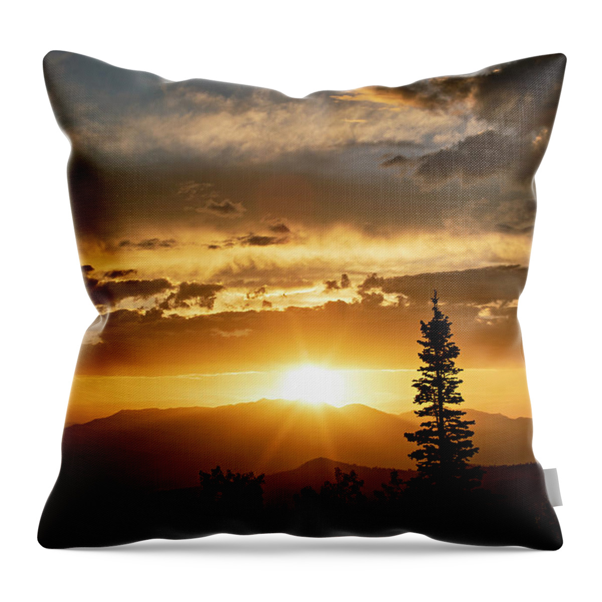 Sunset Throw Pillow featuring the photograph Single Tree Sunset by Wesley Aston
