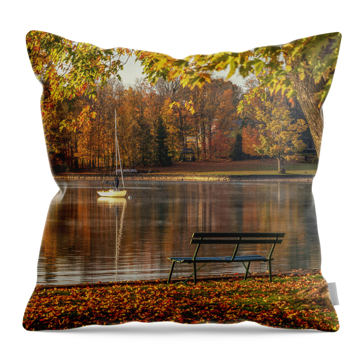 Autumn Throw Pillow featuring the photograph Skaneateles in the Fall by Rod Best
