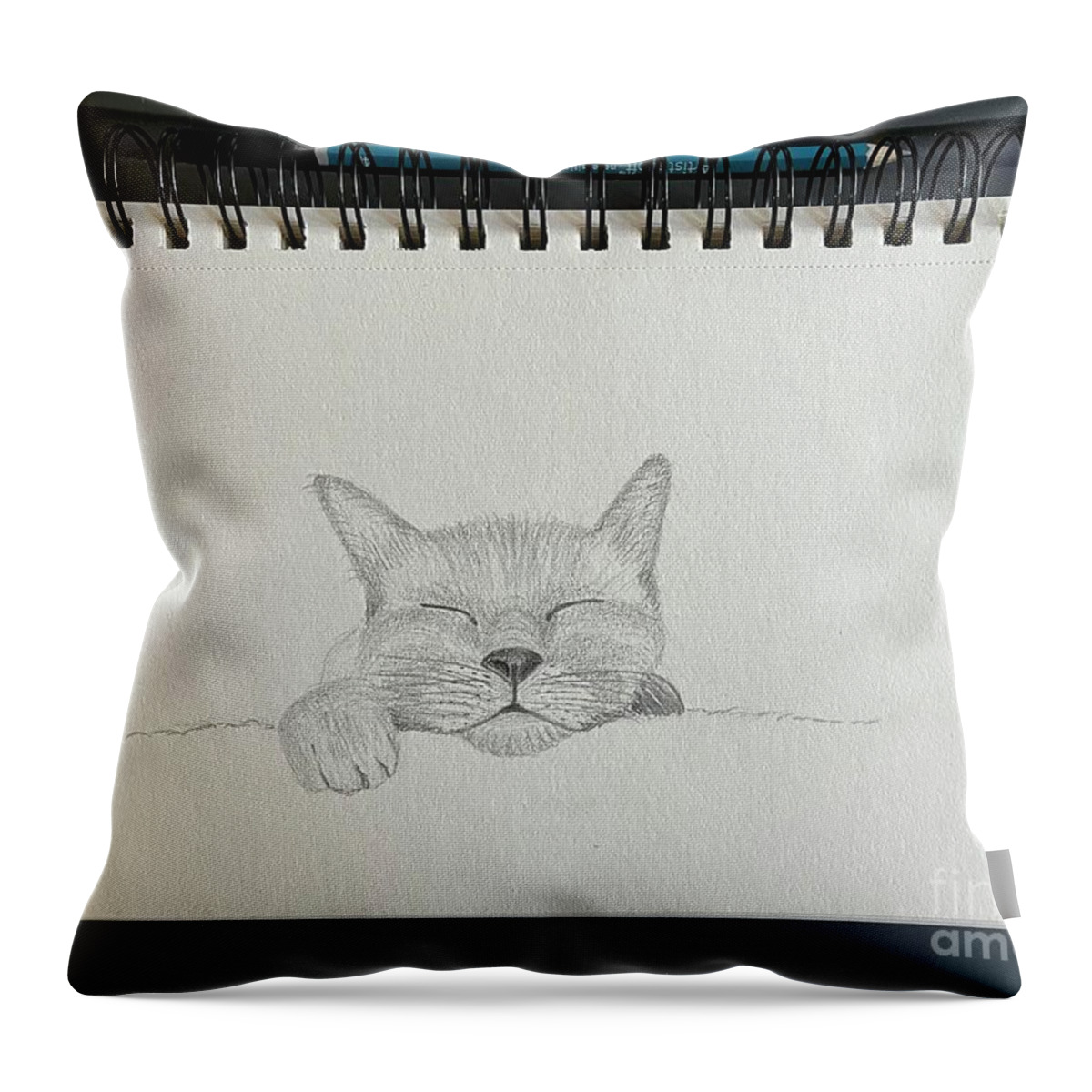  Throw Pillow featuring the drawing Sleeping Face Sketch by Donna Mibus