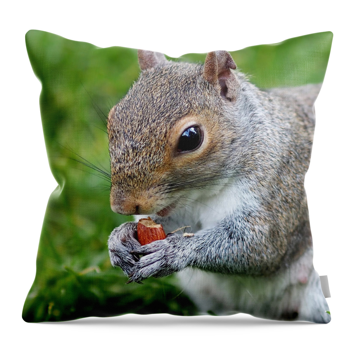 Squirrel Throw Pillow featuring the photograph Snack Break for Squirrel by Rona Black