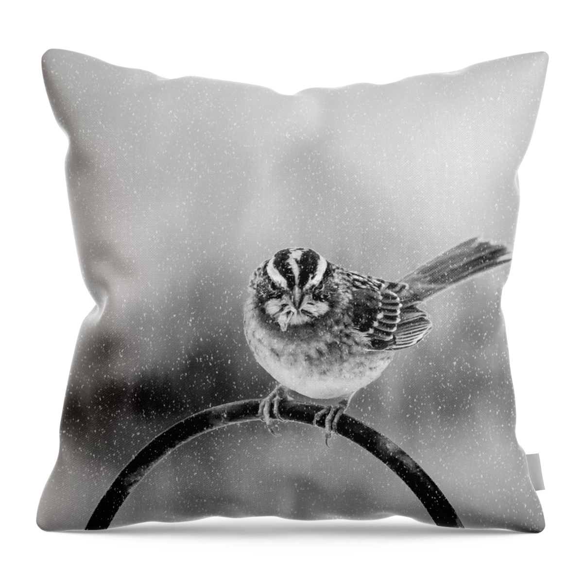 Bird Throw Pillow featuring the photograph Snow Again by Cathy Kovarik