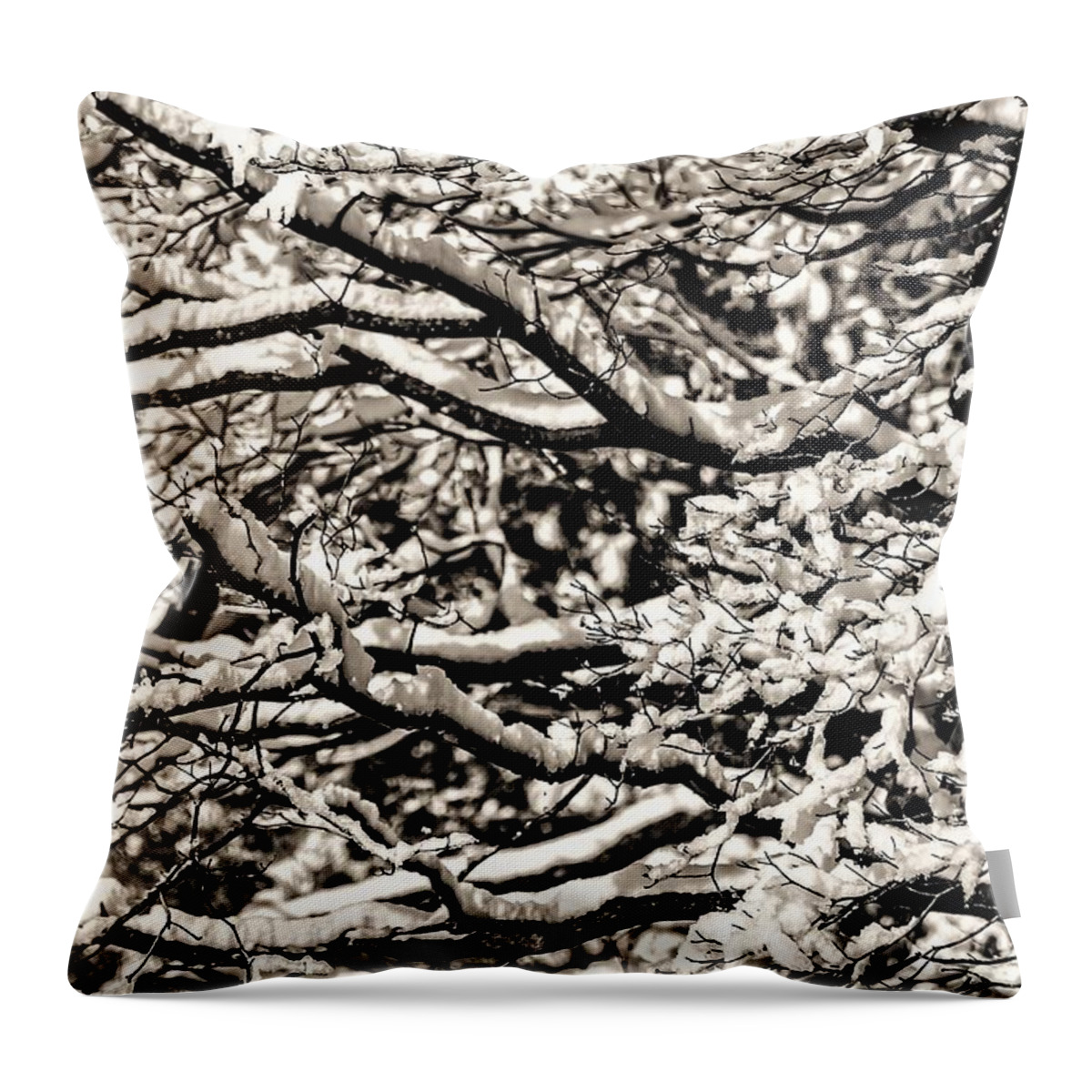 Snow Branch Tree B&w Throw Pillow featuring the photograph Snow Branch by John Linnemeyer