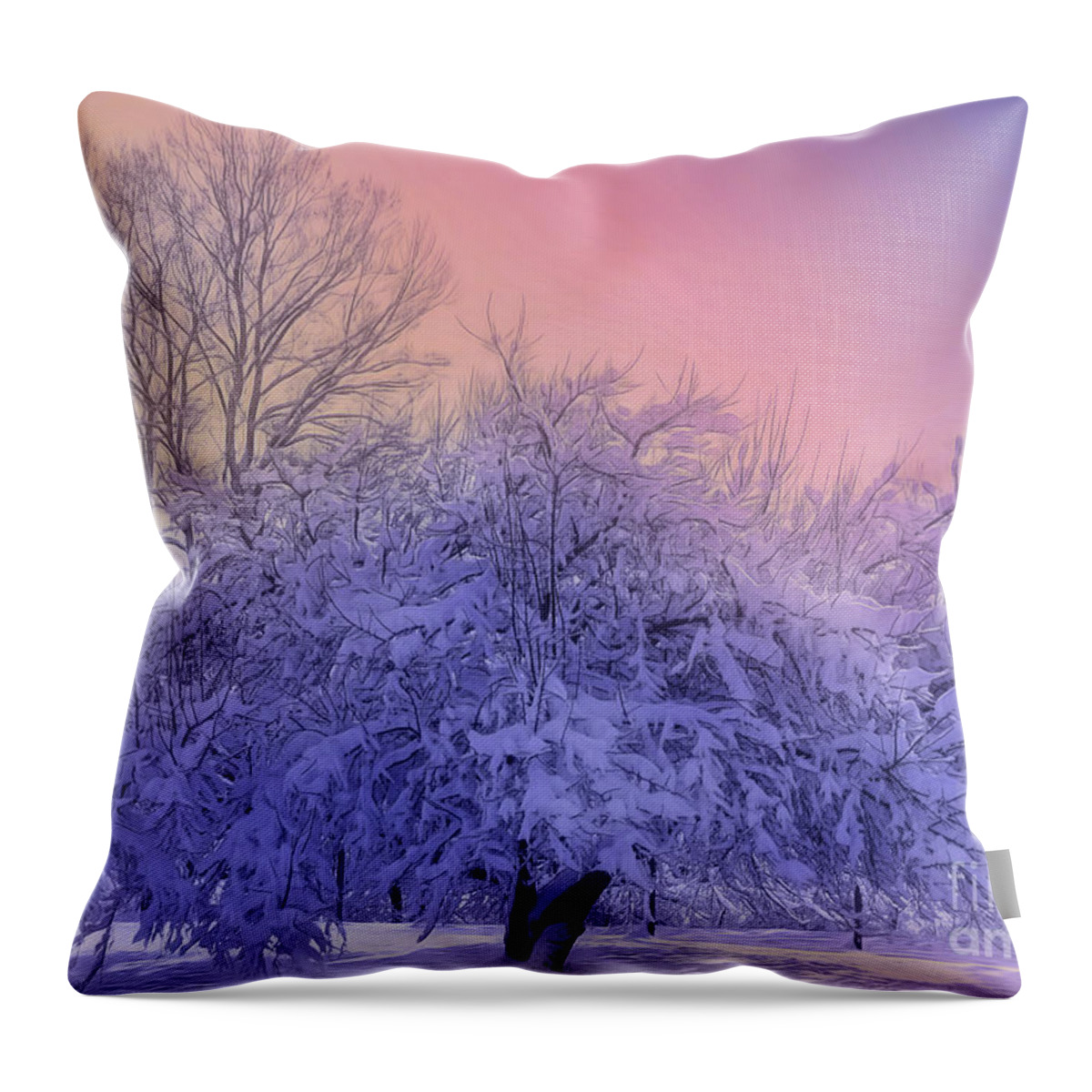 Fine Art Throw Pillow featuring the photograph Snow Covered Trees by Rosanna Life