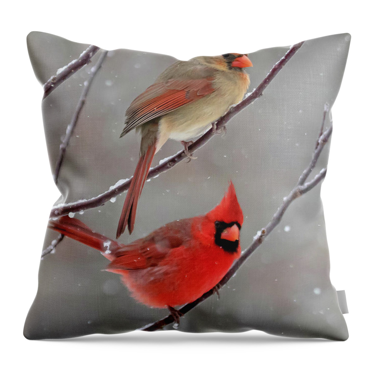 Snow Throw Pillow featuring the photograph Snow Day by Mindy Musick King
