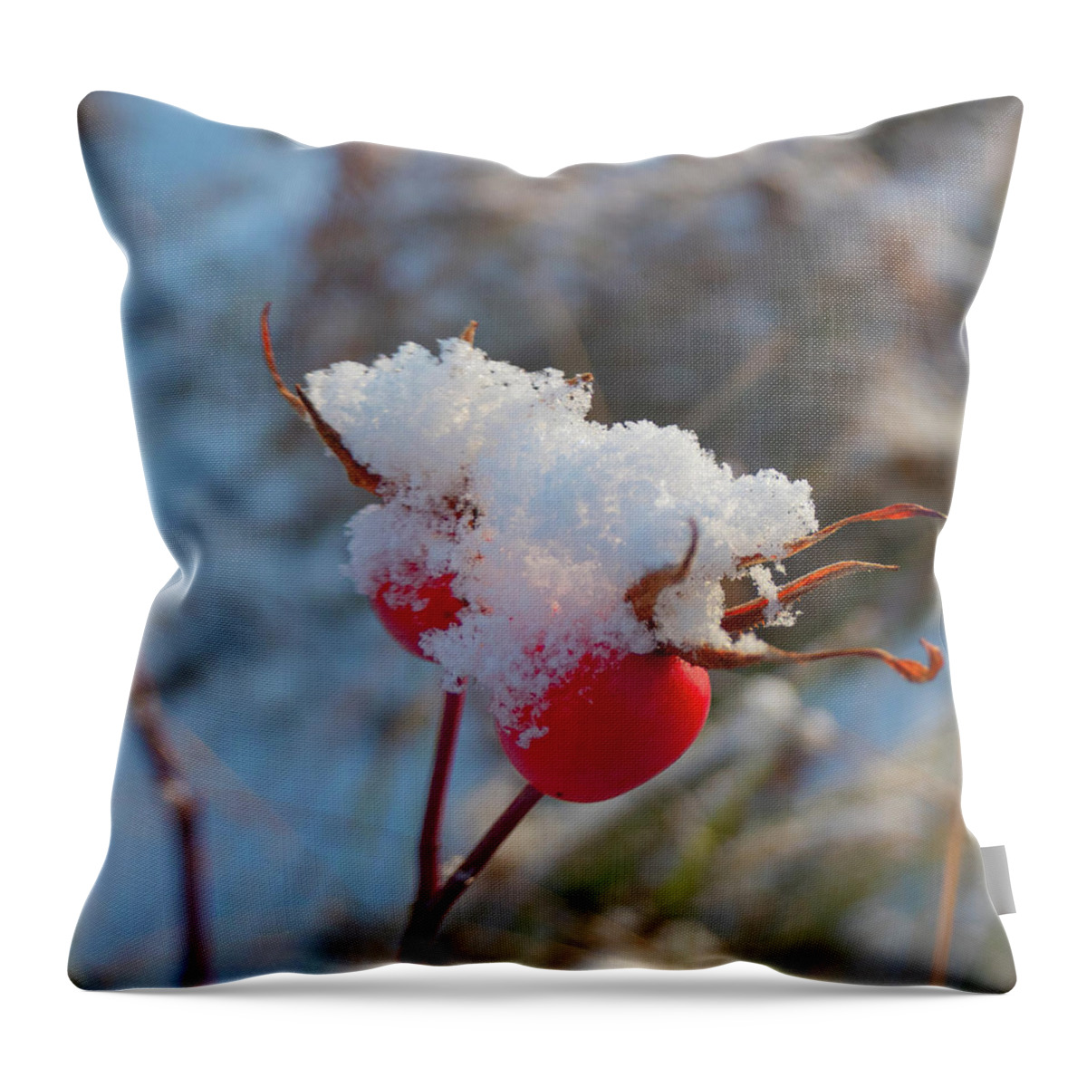 Rose Hips Throw Pillow featuring the photograph Snow On Rose Hips by Karen Rispin