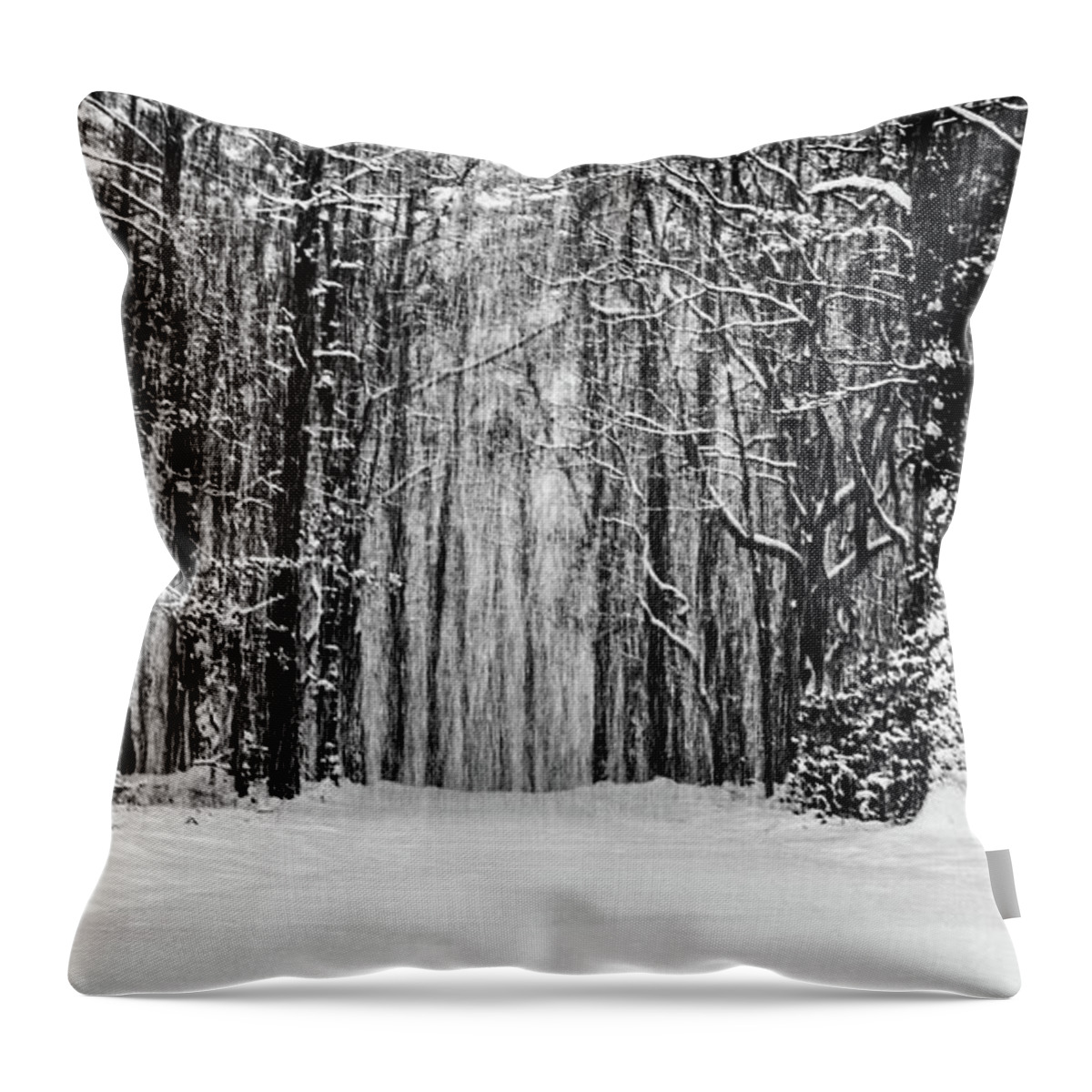 Catskills Throw Pillow featuring the photograph Snow Storm by Louis Dallara
