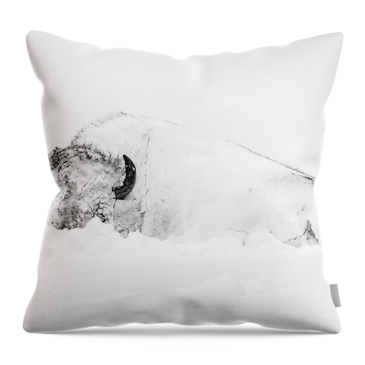 Snow Throw Pillow featuring the photograph Snowy Buffalo by D Robert Franz