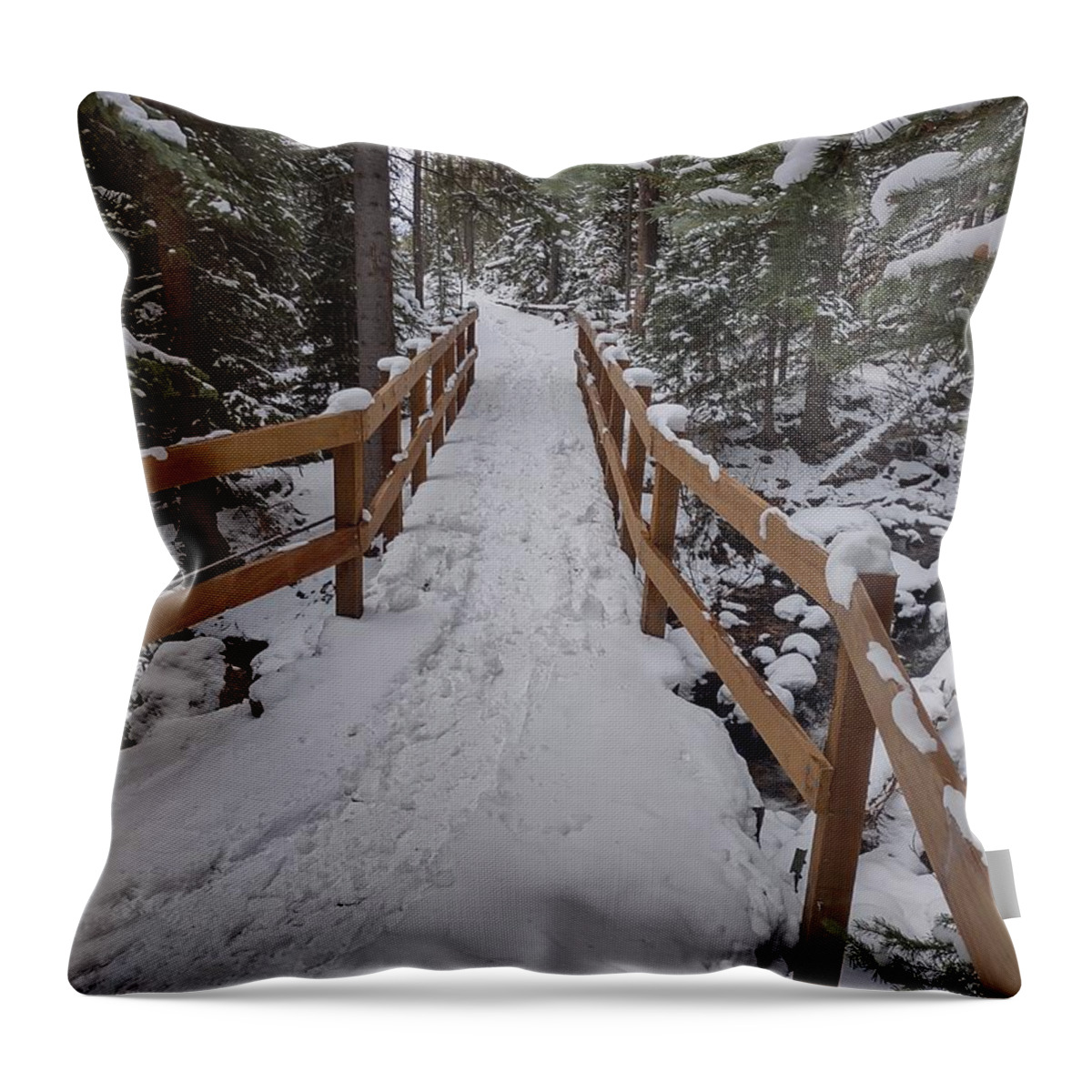 Landscape Throw Pillow featuring the photograph Snowy pathway by Erin Mitchell