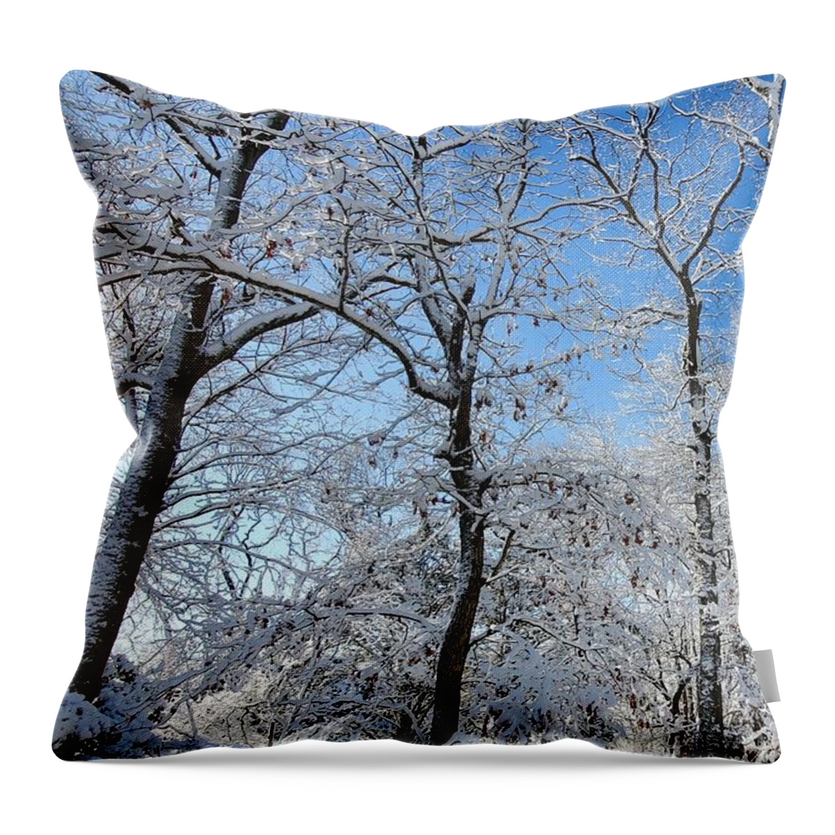 Snow Covered Throw Pillow featuring the photograph Snowy Trees and Blue Sky by Stacie Siemsen