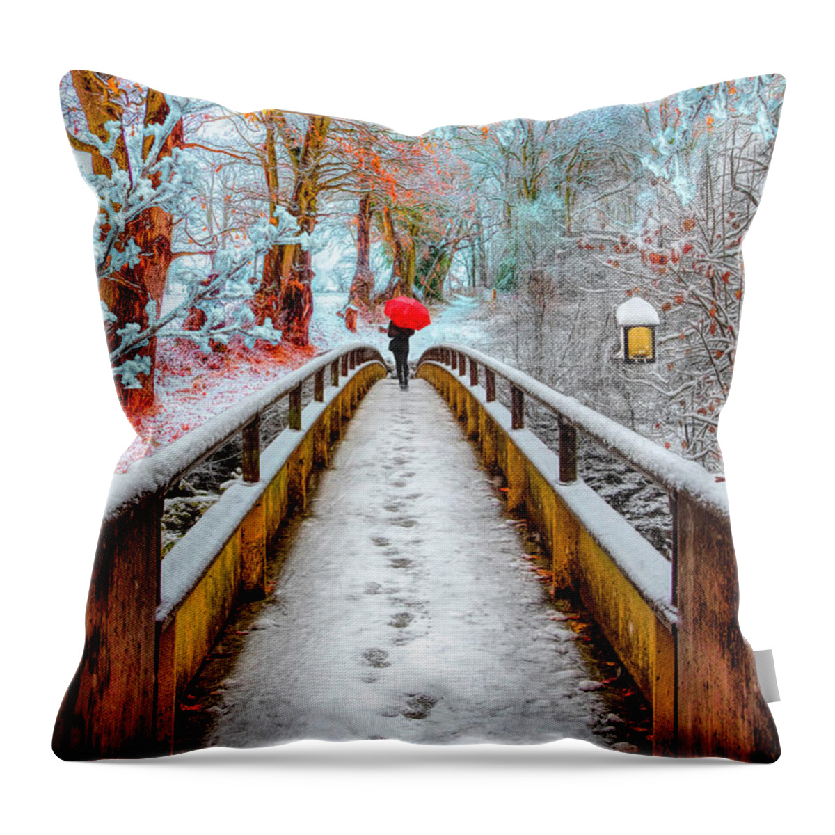 Carolina Throw Pillow featuring the photograph Snowy Walk by Debra and Dave Vanderlaan