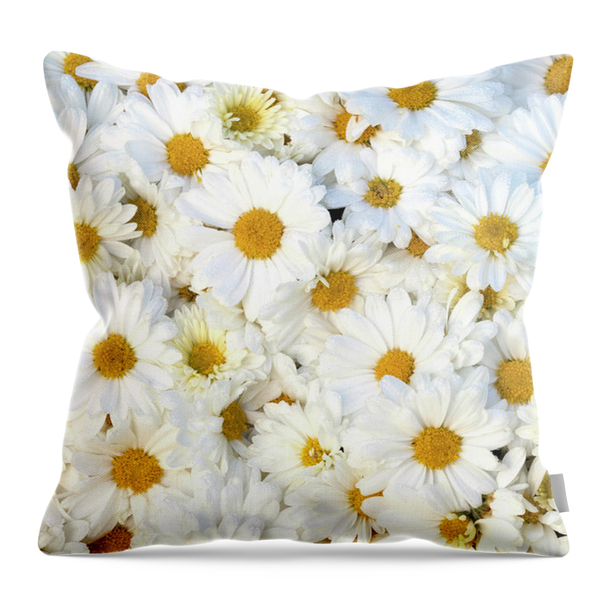 So Many Daisies Throw Pillow featuring the photograph So Many Daisies by Patty Colabuono