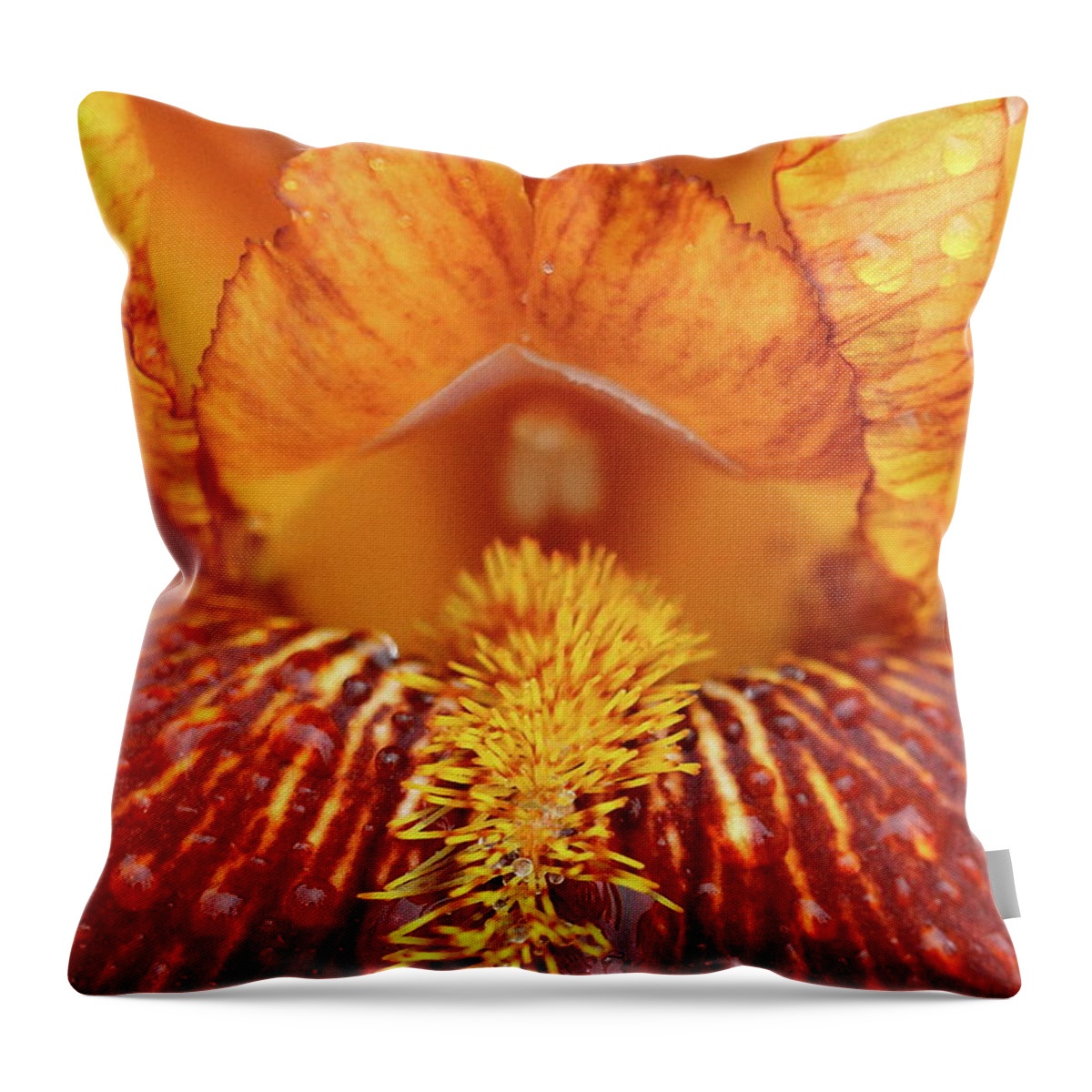 Flower Throw Pillow featuring the photograph Soggy Iris by Lens Art Photography By Larry Trager
