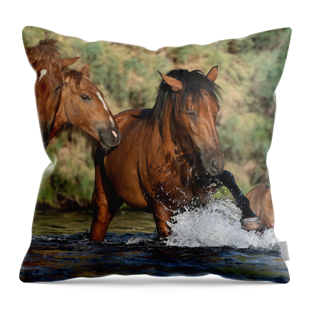 Stallion Throw Pillow featuring the photograph Soldier On. by Paul Martin
