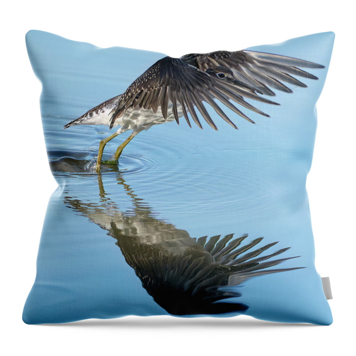 Chevalier Solitaire Throw Pillow featuring the photograph Solitary sandpiper by Carl Marceau