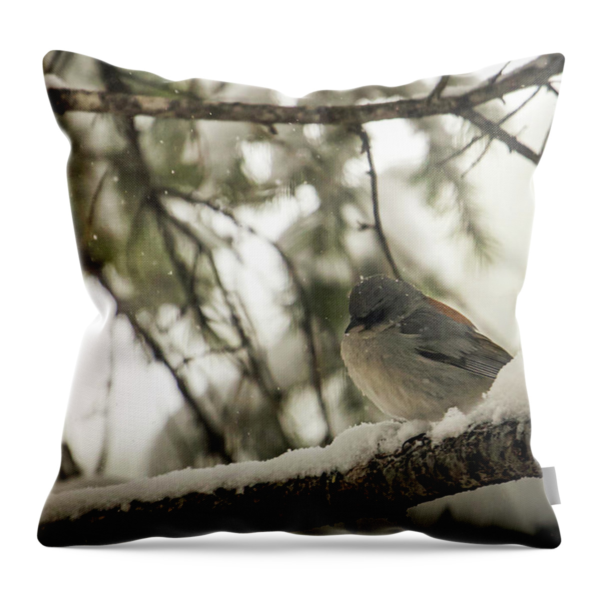 Wildlife Throw Pillow featuring the photograph Songbird in Winter by Laura Putman