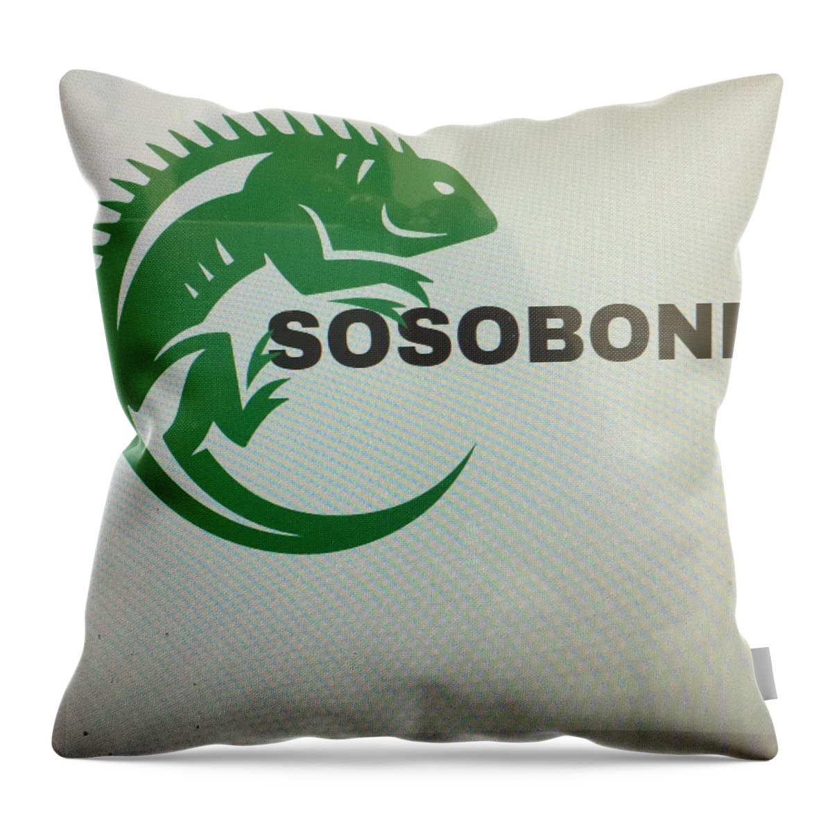  Throw Pillow featuring the photograph Sosobone $ by Trevor A Smith