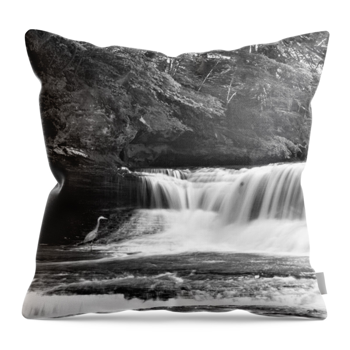  Throw Pillow featuring the photograph South Chagrin w Crane by Brad Nellis