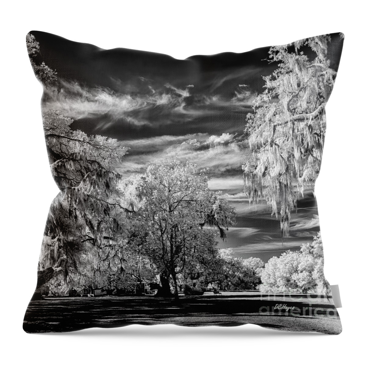 Black & White Throw Pillow featuring the photograph Southern Charm by DBHayes by DB Hayes