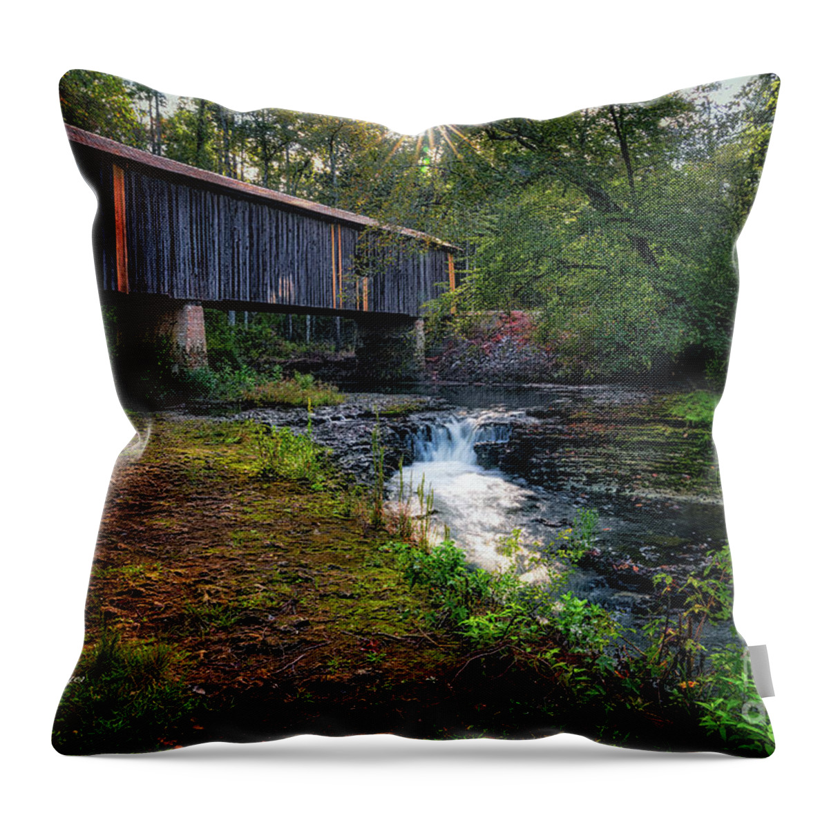 Landscapes Throw Pillow featuring the photograph Southern Gem II by DB Hayes