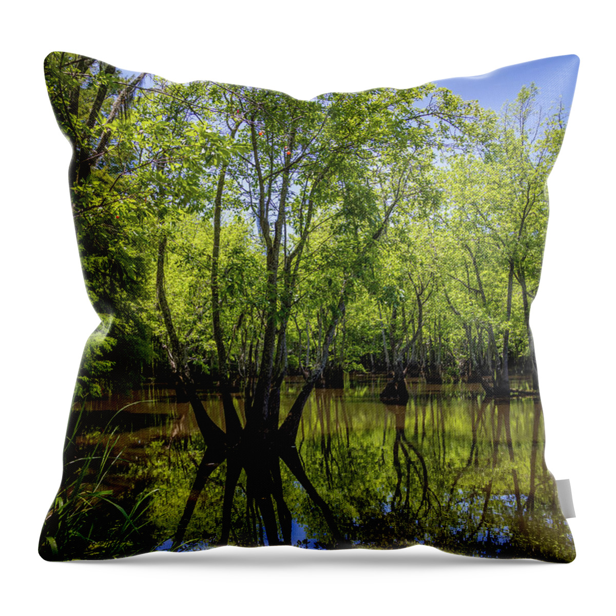 2022 Throw Pillow featuring the photograph Sparkleberry Landing-1 by Charles Hite