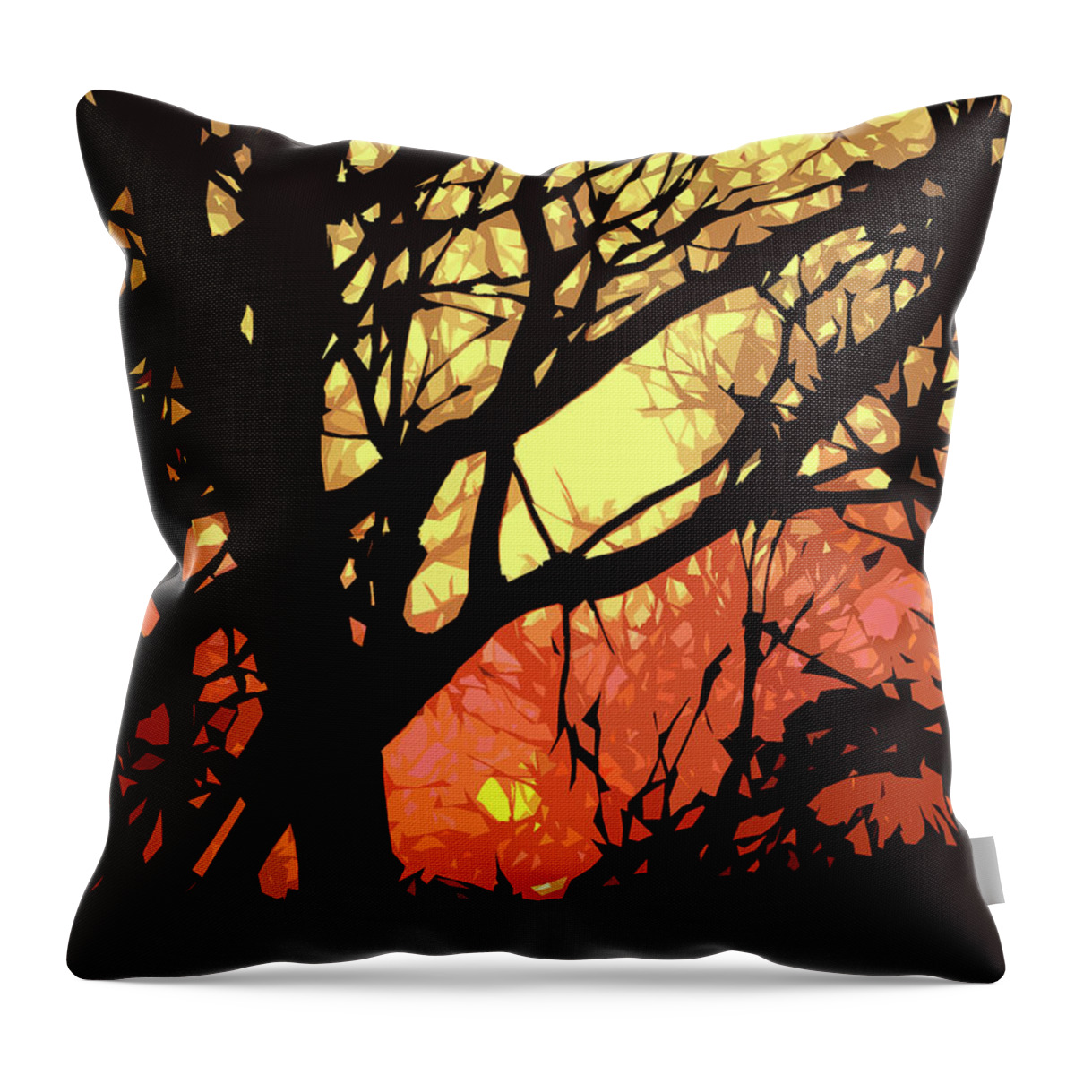 Sunset Throw Pillow featuring the digital art Spectacular Sunset by Nancy Olivia Hoffmann