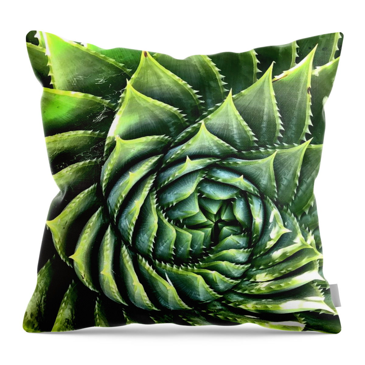  Throw Pillow featuring the photograph Spiral Succulent by Julie Gebhardt