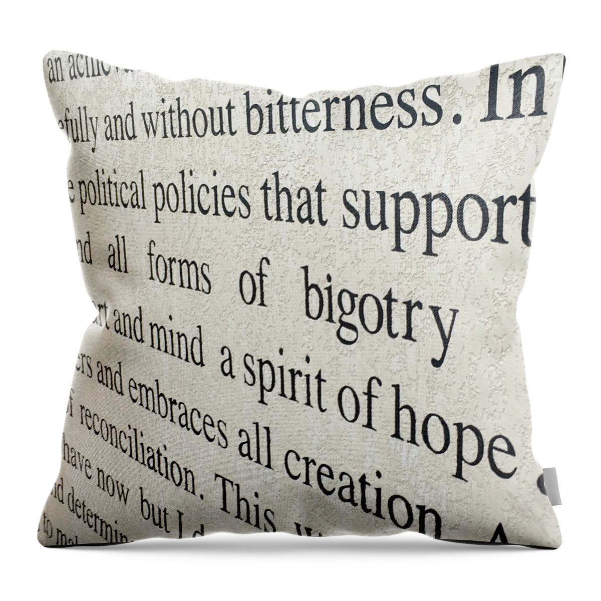 Dream Throw Pillow featuring the photograph Spirit Of Hope by James Mark Shelby