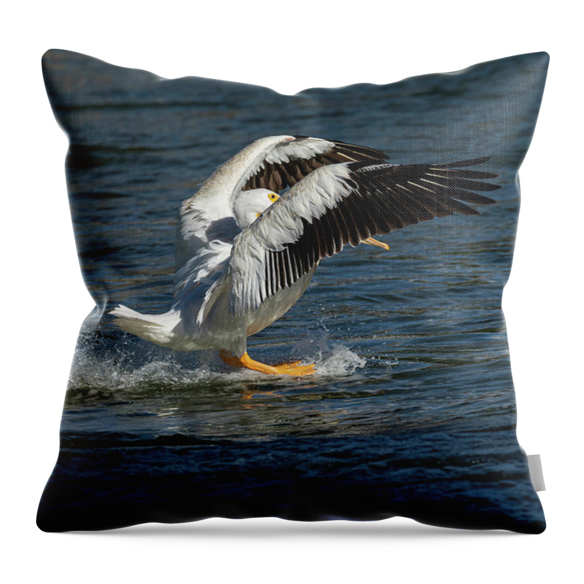 American White Pelican Throw Pillow featuring the photograph Splash Down 2016 by Thomas Young