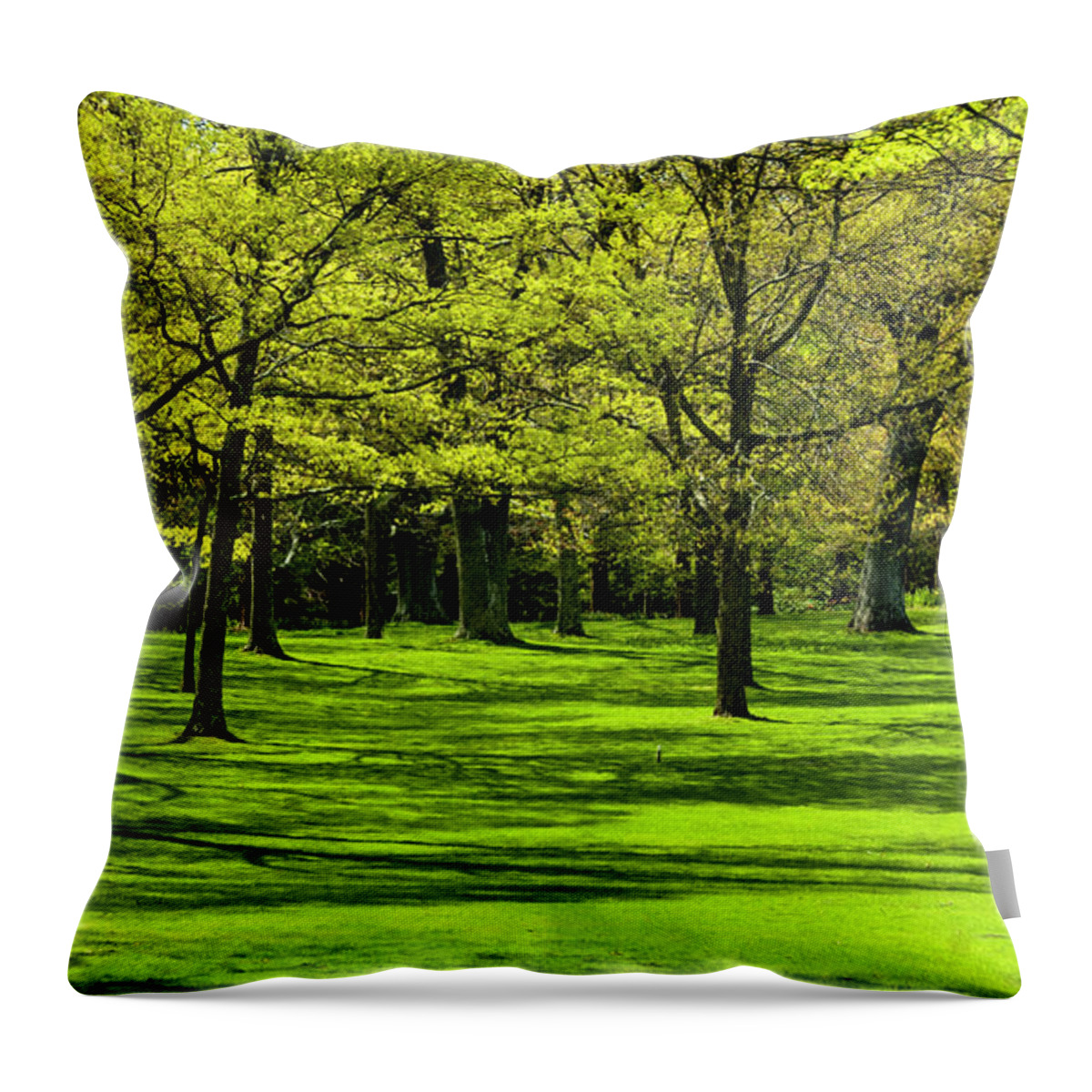Park Throw Pillow featuring the photograph Spring Greenery by Cathy Kovarik