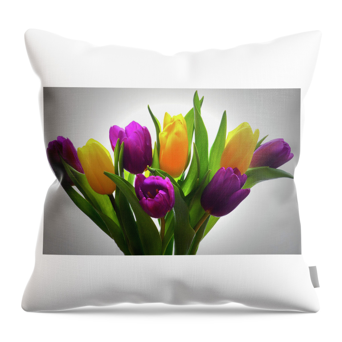 Tulips Throw Pillow featuring the photograph Spring Tulips by Terence Davis