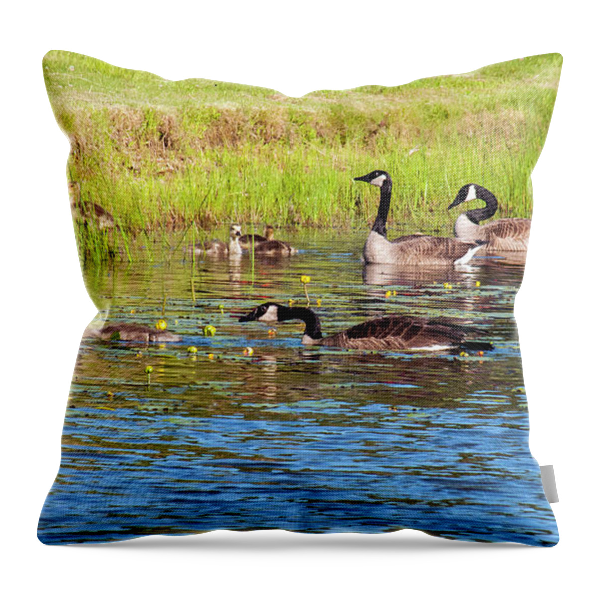 Geese Throw Pillow featuring the photograph Springtime At The Pond by Cathy Kovarik
