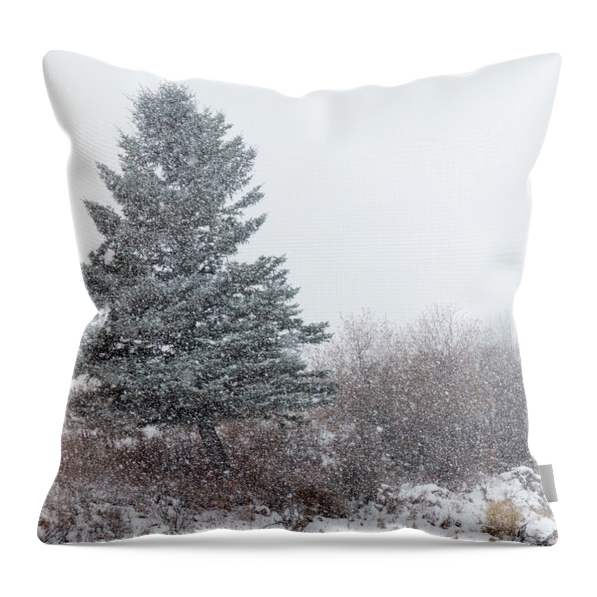 Snow Throw Pillow featuring the photograph Spruce tree on a snowy day by Karen Rispin