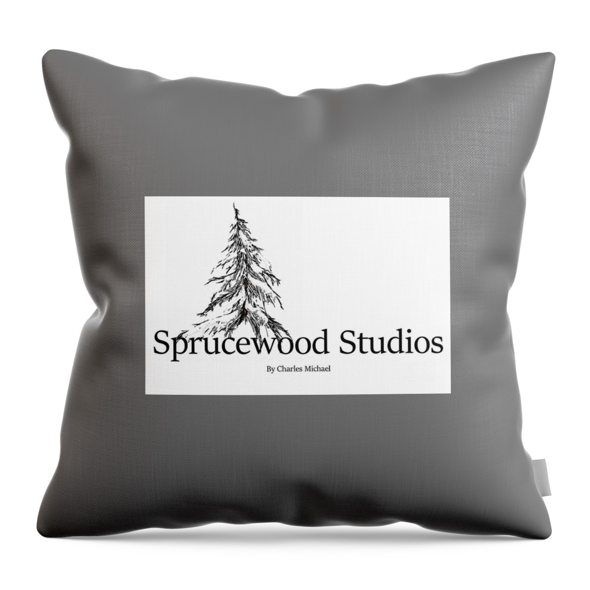 Photography Throw Pillow featuring the photograph Sprucewood Studios by Charles Vice