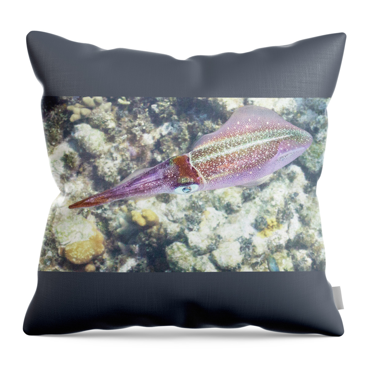 Squid Throw Pillow featuring the photograph Squid Pro Quo by Lynne Browne