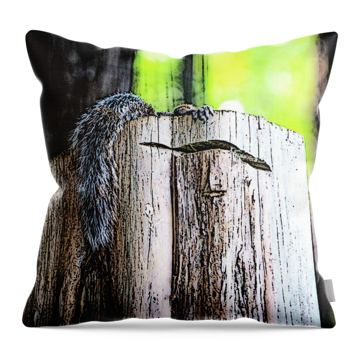 Charlotte-park Throw Pillow featuring the digital art Squirrel at the Lake by SnapHappy Photos