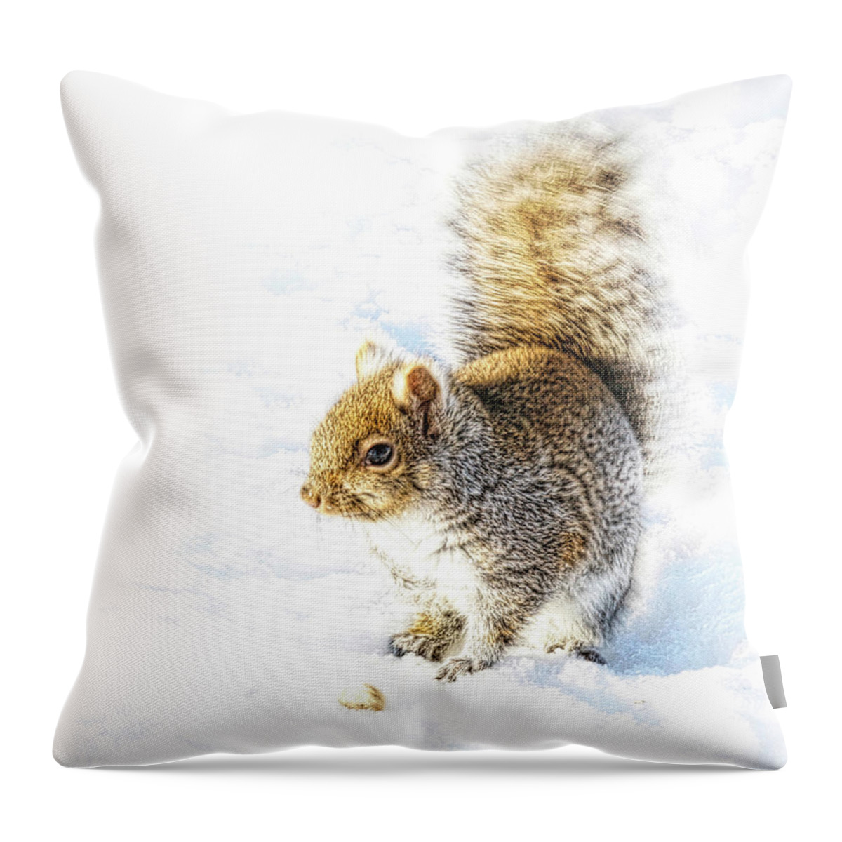 Squirrel Throw Pillow featuring the photograph Squirrel on white snow by Tatiana Travelways
