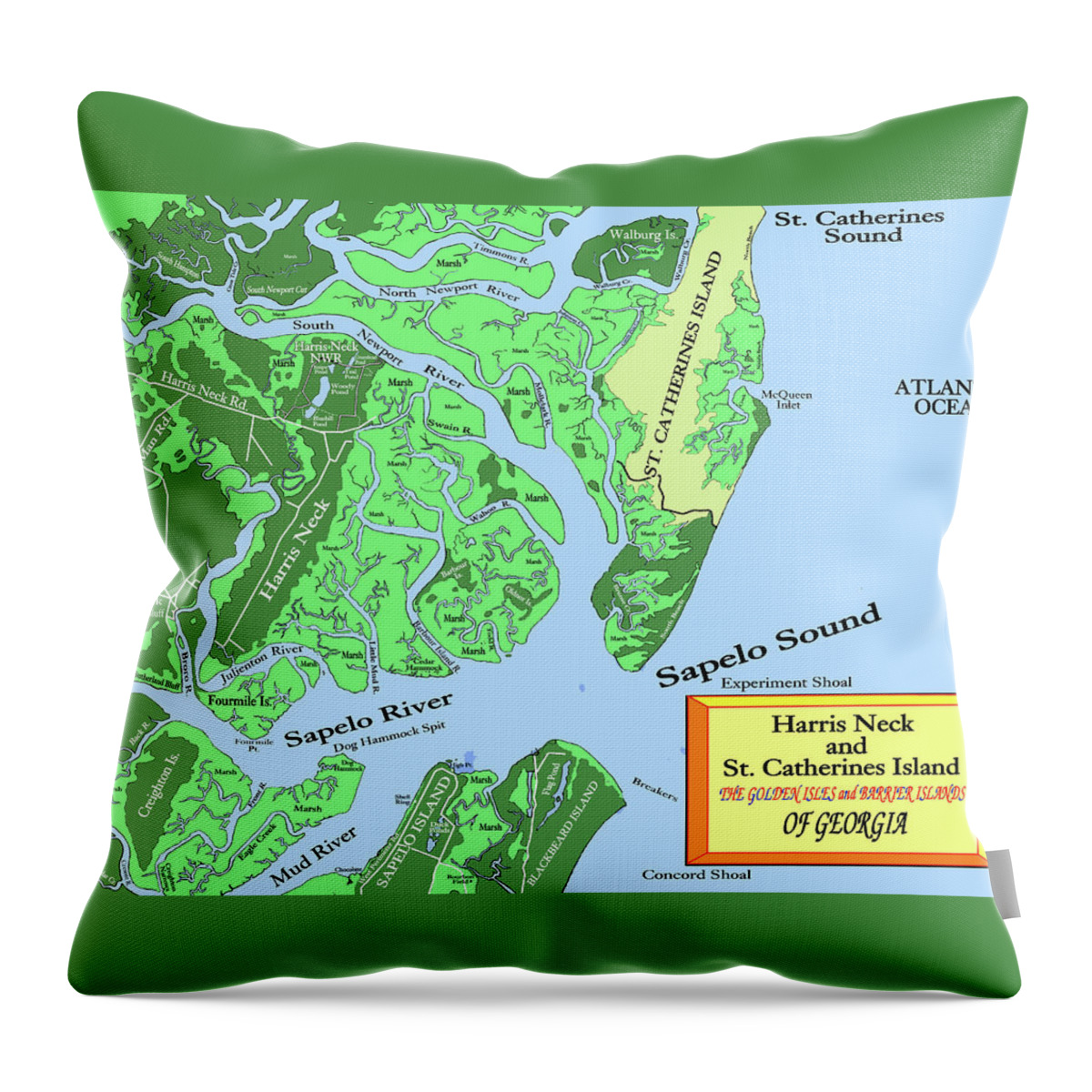 St. Catherines Island and Harris Neck refuge Throw Pillow by