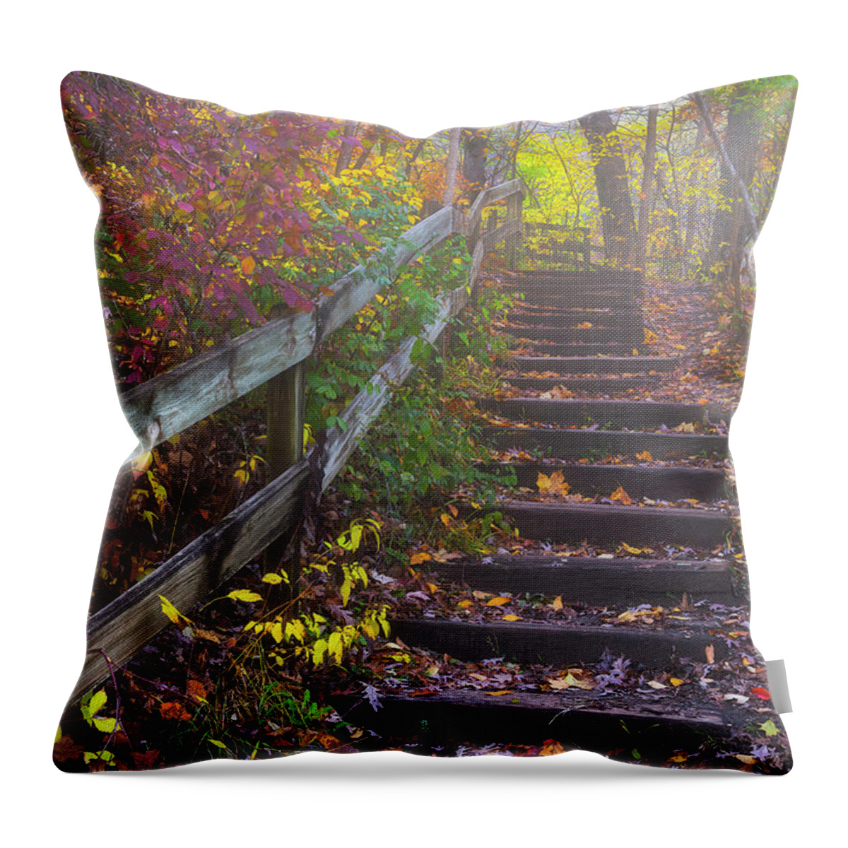 Stairway Throw Pillow featuring the photograph Stairway to Autumn by Darren White