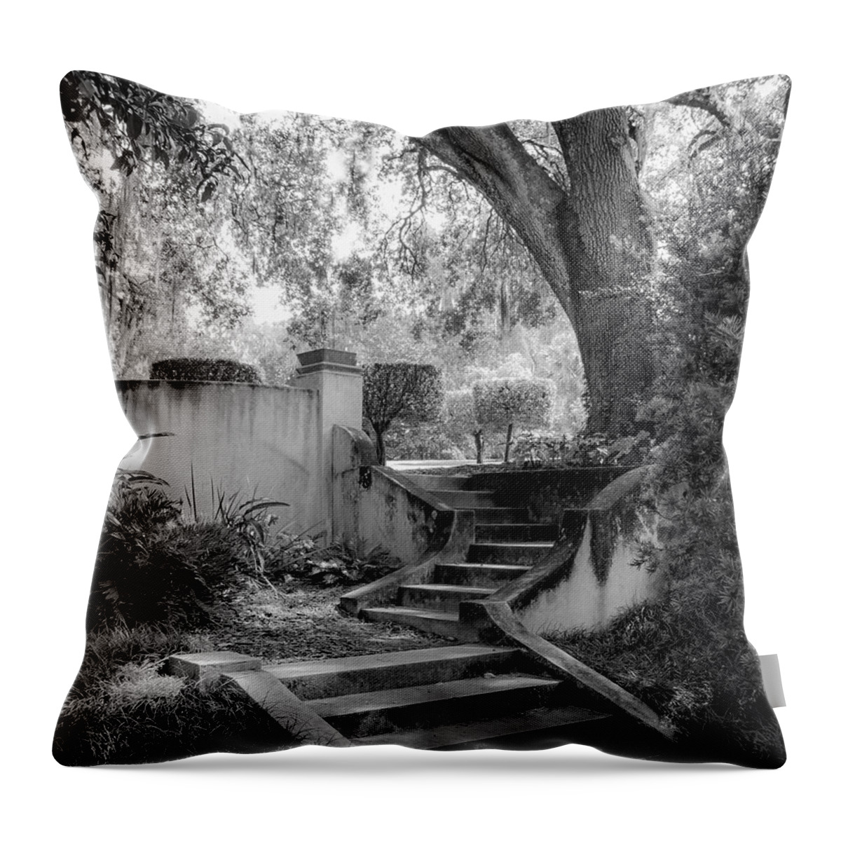 Black And White Throw Pillow featuring the photograph Stairway to Heaven by Shara Abel