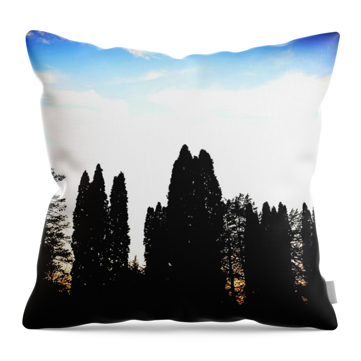 Sunset Throw Pillow featuring the photograph Standing tall I'm the sunset by Shalane Poole