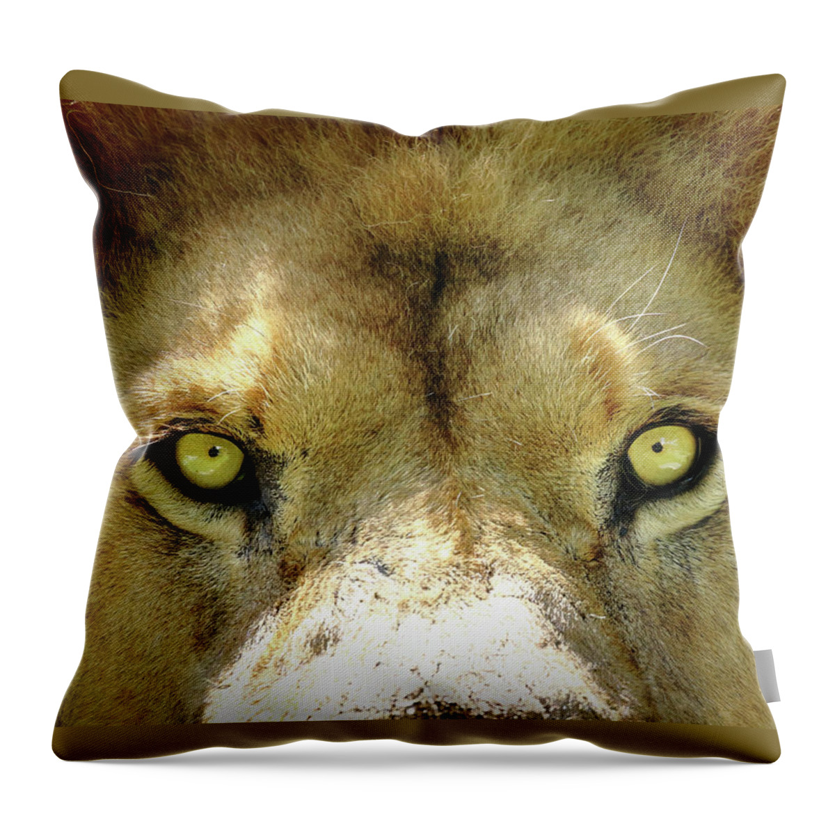 Lion Throw Pillow featuring the photograph Stare Down by Lens Art Photography By Larry Trager