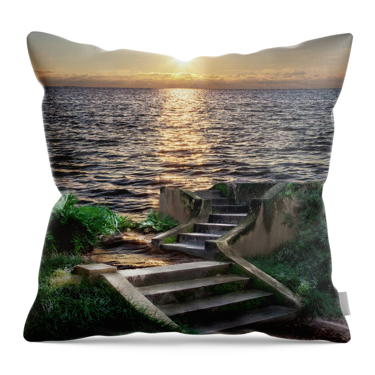 Water Throw Pillow featuring the photograph Stare Into the Sea by Shara Abel