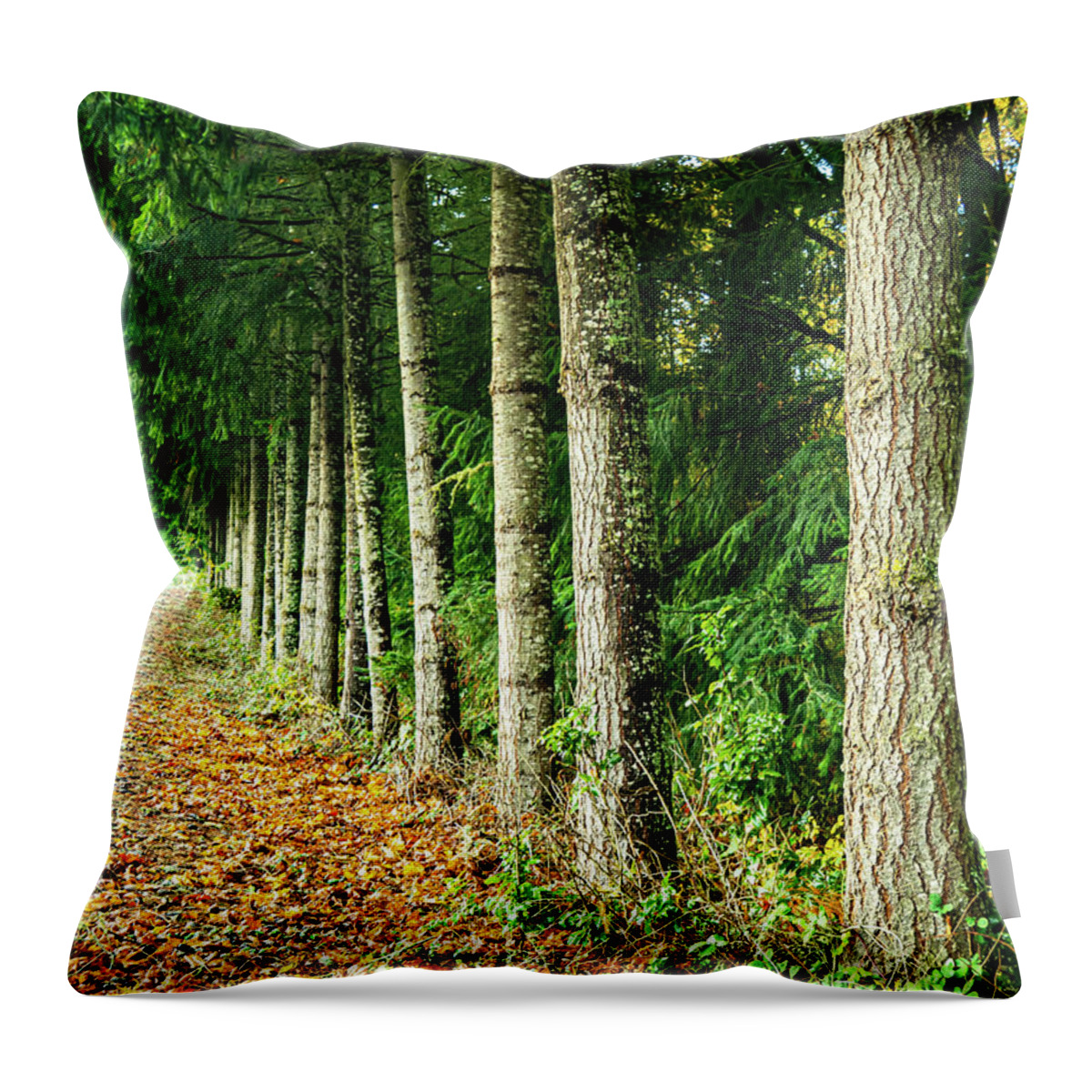 Fall Throw Pillow featuring the photograph Leading Lines by Leslie Struxness