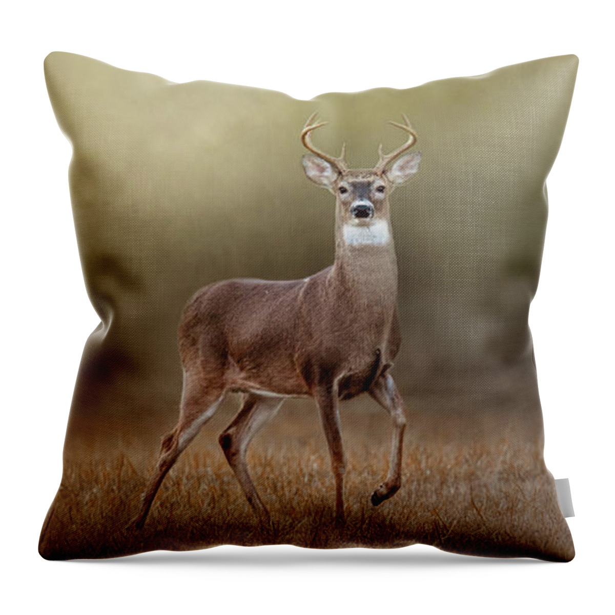 Deer Throw Pillow featuring the photograph Stepping Out by Jai Johnson
