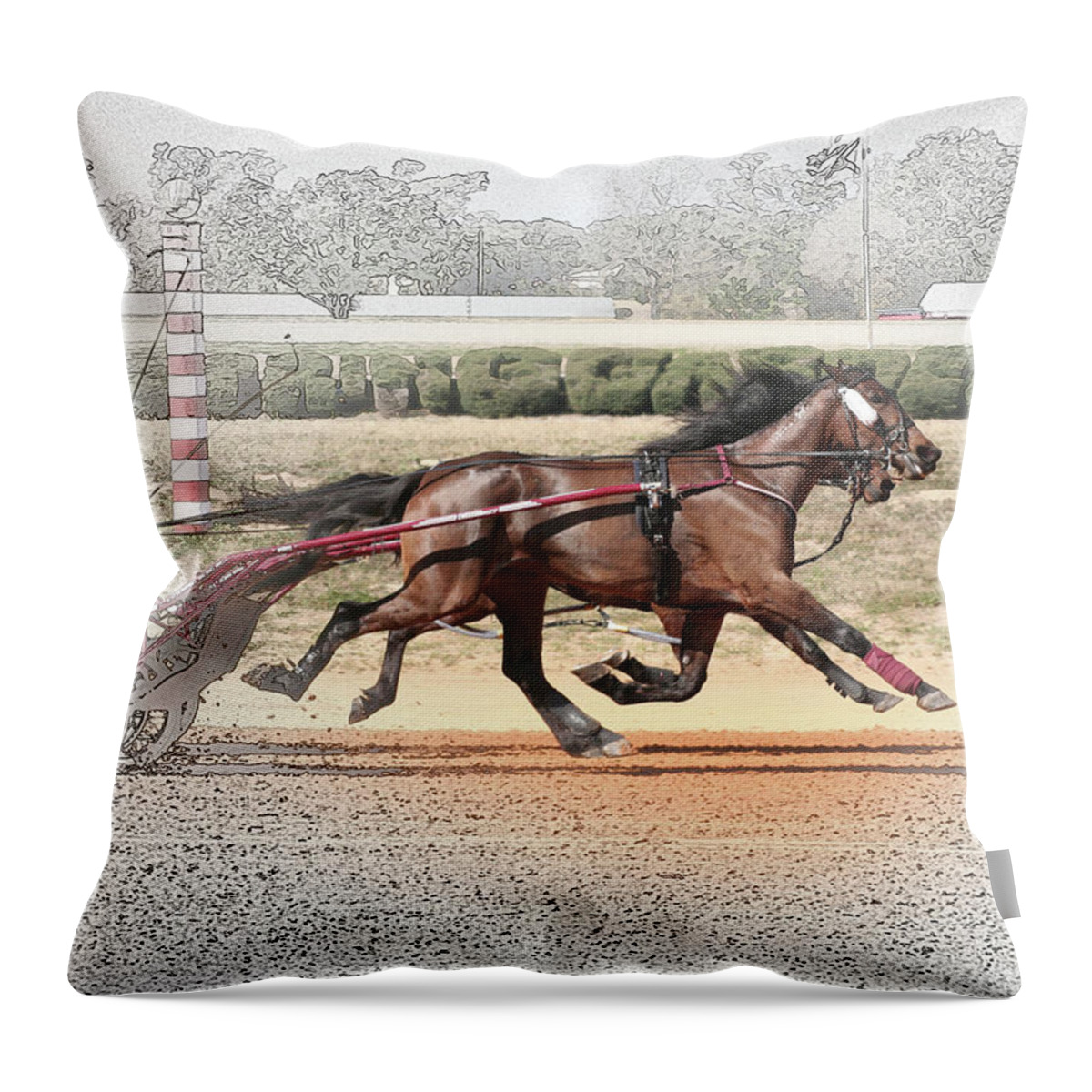 Horses Throw Pillow featuring the photograph Stepping Out by M Kathleen Warren