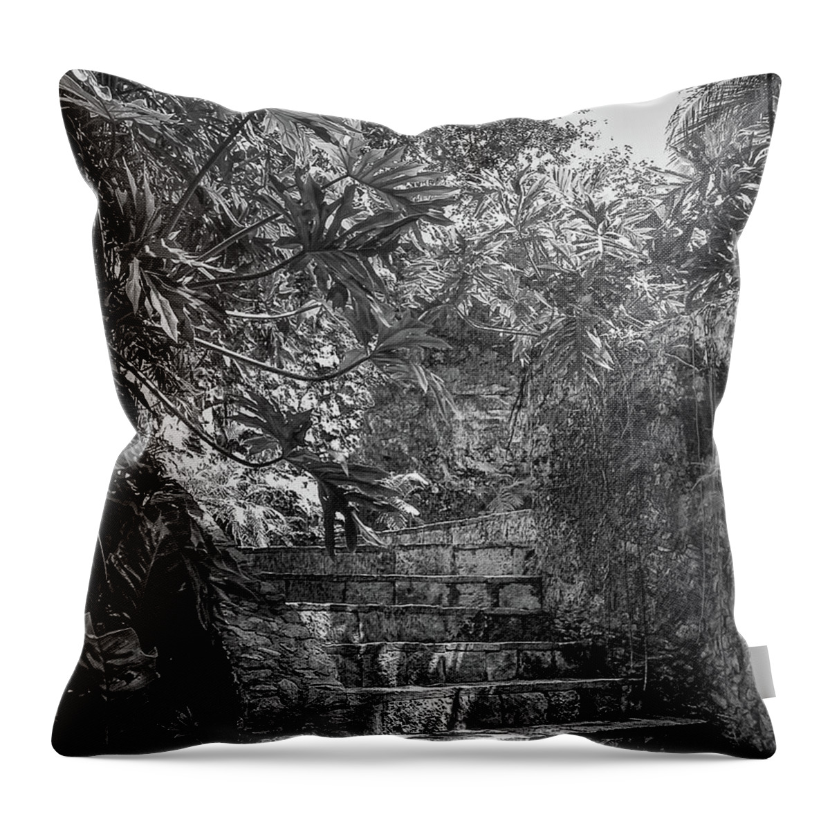 Chichen Itza Throw Pillow featuring the photograph Steps Near Cenote Chichen Itza by Frank Mari