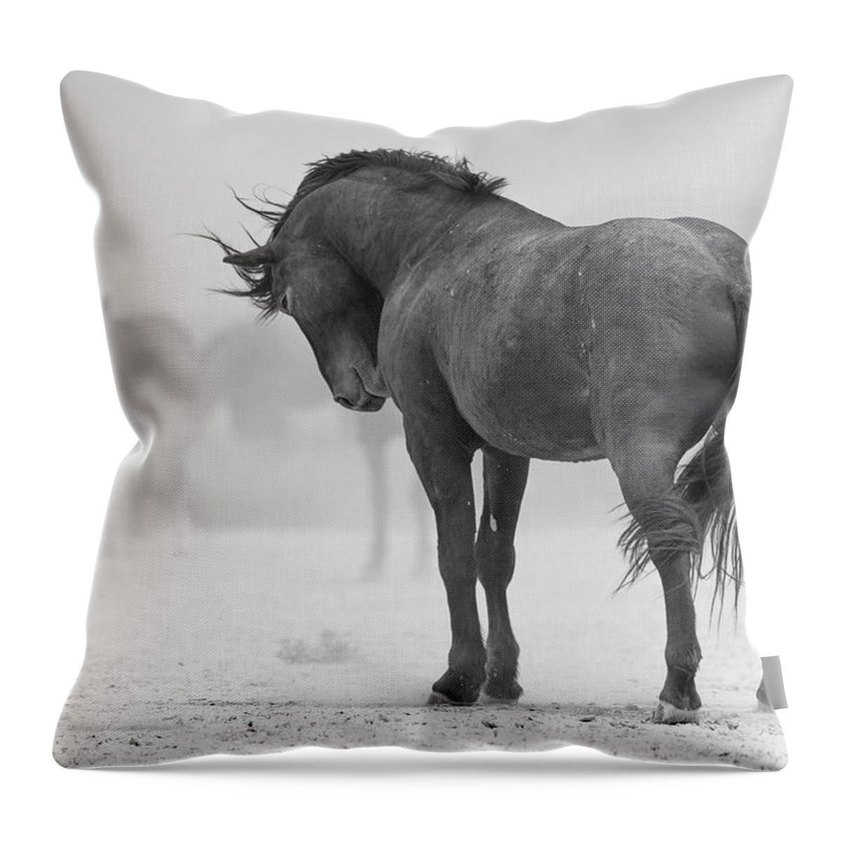 Stallion Throw Pillow featuring the photograph Stoic Stallion. by Paul Martin