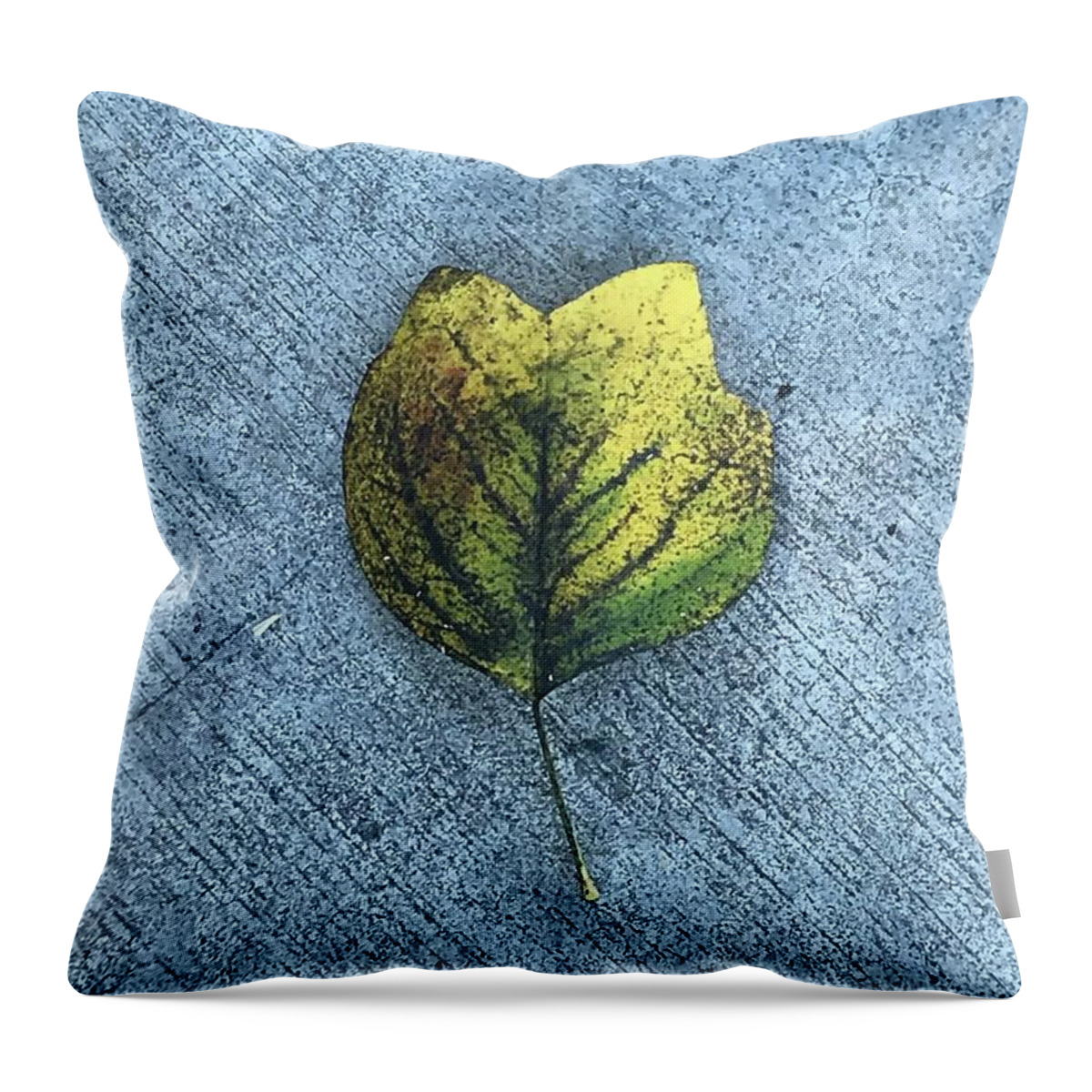 Air Throw Pillow featuring the photograph Stomata Song by Tiesa Wesen
